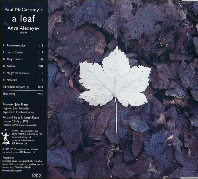 A Leaf - Rear Cover