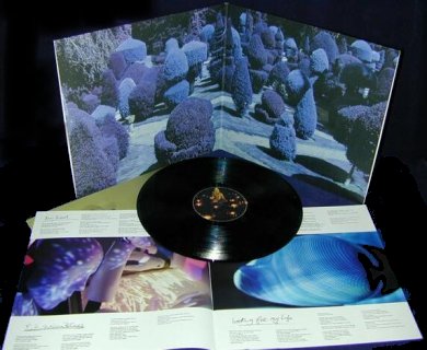 Brainwashed - The Vinyl Set